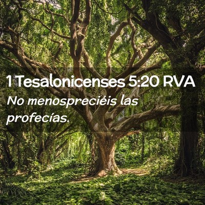 Picture 02 - 1 Tesalonicenses 5:20 RVA - No menospreciéis las - Bible Verse Picture