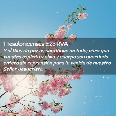 Picture 02 - 1 Tesalonicenses 5:23 RVA - Y el Dios de paz os santifique en todo; para que - Bible Verse Picture