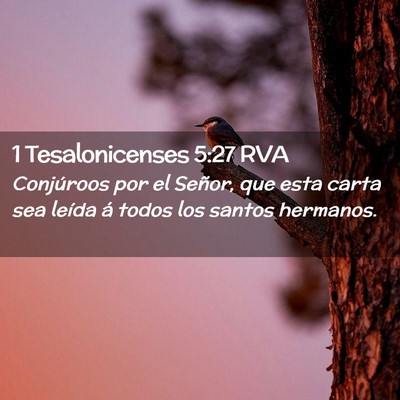 Picture 02 - 1 Tesalonicenses 5:27 RVA - Conjúroos por el Señor, que esta carta sea - Bible Verse Picture