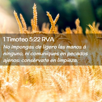 Picture 02 - 1 Timoteo 5:22 RVA - No impongas de ligero las manos á ninguno, ni - Bible Verse Picture