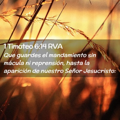 Picture 02 - 1 Timoteo 6:14 RVA - Que guardes el mandamiento sin mácula ni - Bible Verse Picture
