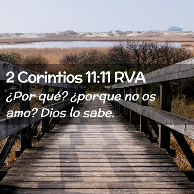 Picture 02 - 2 Corintios 11:11 RVA - ¿Por qué? ¿porque no os amo? Dios lo - Bible Verse Picture