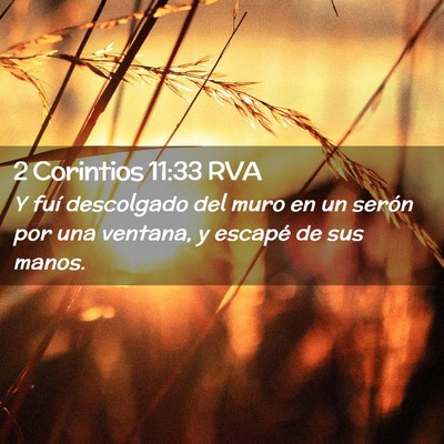 Picture 02 - 2 Corintios 11:33 RVA - Y fuí descolgado del muro en un serón por una - Bible Verse Picture