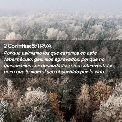 Picture 02 - 2 Corintios 5:4 RVA - Porque asimismo los que estamos en este - Bible Verse Picture