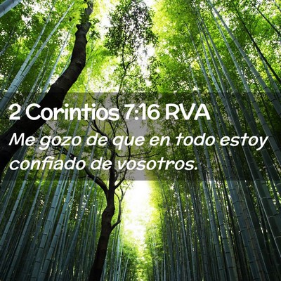 Picture 02 - 2 Corintios 7:16 RVA - Me gozo de que en todo estoy confiado de - Bible Verse Picture