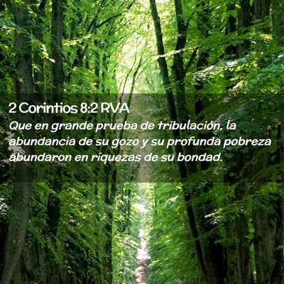 Picture 02 - 2 Corintios 8:2 RVA - Que en grande prueba de tribulación, la - Bible Verse Picture