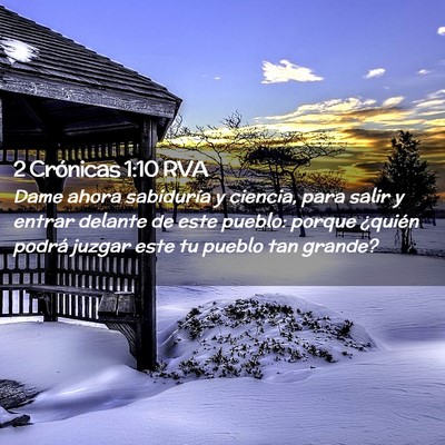 Picture 02 - 2 Crónicas 1:10 RVA - Dame ahora sabiduría y ciencia, para salir y - Bible Verse Picture