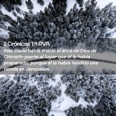 Picture 02 - 2 Crónicas 1:4 RVA - Mas David había traído el arca de Dios de - Bible Verse Picture