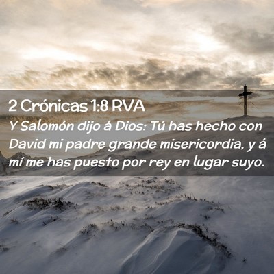 Picture 02 - 2 Crónicas 1:8 RVA - Y Salomón dijo á Dios: Tú has hecho con David - Bible Verse Picture