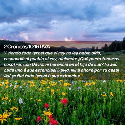 Picture 02 - 2 Crónicas 10:16 RVA - Y viendo todo Israel que el rey no les había - Bible Verse Picture