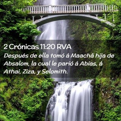 Picture 02 - 2 Crónicas 11:20 RVA - Después de ella tomó á Maachâ hija de - Bible Verse Picture