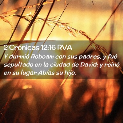 Picture 02 - 2 Crónicas 12:16 RVA - Y durmió Roboam con sus padres, y fué sepultado - Bible Verse Picture