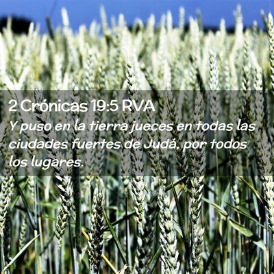 Picture 02 - 2 Crónicas 19:5 RVA - Y puso en la tierra jueces en todas las ciudades - Bible Verse Picture