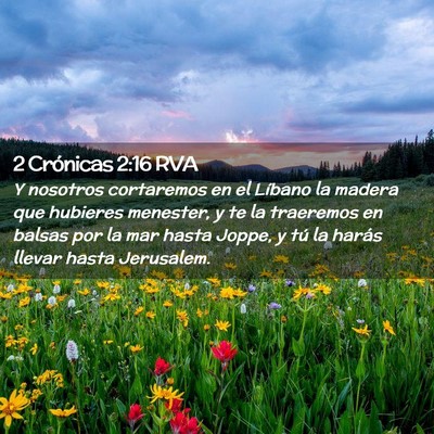 Picture 02 - 2 Crónicas 2:16 RVA - Y nosotros cortaremos en el Líbano la madera que - Bible Verse Picture