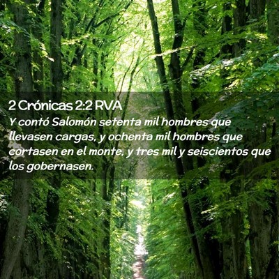 Picture 02 - 2 Crónicas 2:2 RVA - Y contó Salomón setenta mil hombres que - Bible Verse Picture