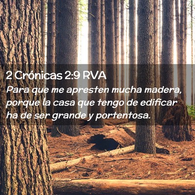 Picture 02 - 2 Crónicas 2:9 RVA - Para que me apresten mucha madera, porque la casa - Bible Verse Picture