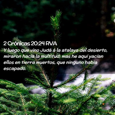 Picture 02 - 2 Crónicas 20:24 RVA - Y luego que vino Judá á la atalaya del - Bible Verse Picture