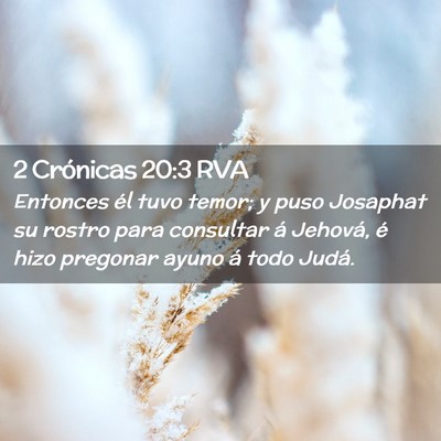 Picture 02 - 2 Crónicas 20:3 RVA - Entonces él tuvo temor; y puso Josaphat su - Bible Verse Picture