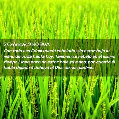 Picture 02 - 2 Crónicas 21:10 RVA - Con todo eso Edom quedó rebelado, sin estar bajo - Bible Verse Picture