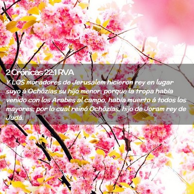 Picture 02 - 2 Crónicas 22:1 RVA - Y LOS moradores de Jerusalem hicieron rey en - Bible Verse Picture