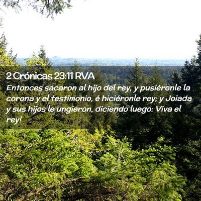 Picture 02 - 2 Crónicas 23:11 RVA - Entonces sacaron al hijo del rey, y pusiéronle - Bible Verse Picture