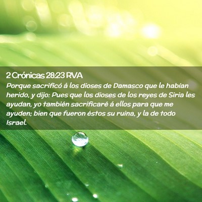 Picture 02 - 2 Crónicas 28:23 RVA - Porque sacrificó á los dioses de Damasco que le - Bible Verse Picture