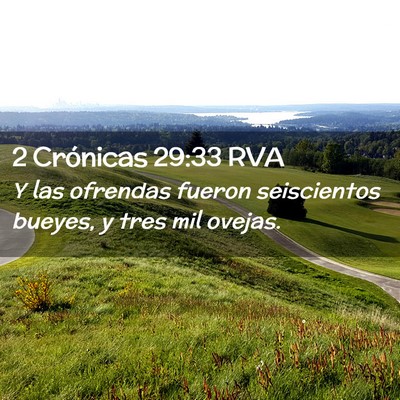 Picture 02 - 2 Crónicas 29:33 RVA - Y las ofrendas fueron seiscientos bueyes, y tres - Bible Verse Picture