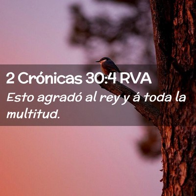 Picture 02 - 2 Crónicas 30:4 RVA - Esto agradó al rey y á toda la - Bible Verse Picture