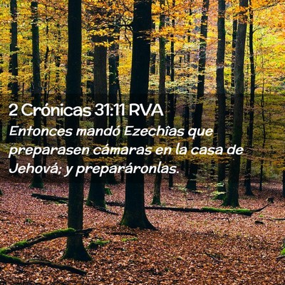Picture 02 - 2 Crónicas 31:11 RVA - Entonces mandó Ezechîas que preparasen cámaras - Bible Verse Picture