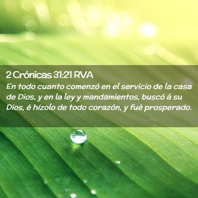 Picture 02 - 2 Crónicas 31:21 RVA - En todo cuanto comenzó en el servicio de la casa - Bible Verse Picture