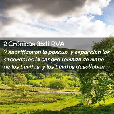 Picture 02 - 2 Crónicas 35:11 RVA - Y sacrificaron la pascua; y esparcían los - Bible Verse Picture