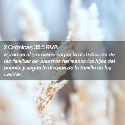 Picture 02 - 2 Crónicas 35:5 RVA - Estad en el santuario según la distribución de - Bible Verse Picture