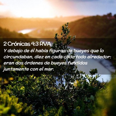 Picture 02 - 2 Crónicas 4:3 RVA - Y debajo de él había figuras de bueyes que lo - Bible Verse Picture