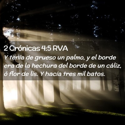 Picture 02 - 2 Crónicas 4:5 RVA - Y tenía de grueso un palmo, y el borde era de la - Bible Verse Picture