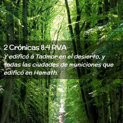 Picture 02 - 2 Crónicas 8:4 RVA - Y edificó á Tadmor en el desierto, y todas las - Bible Verse Picture