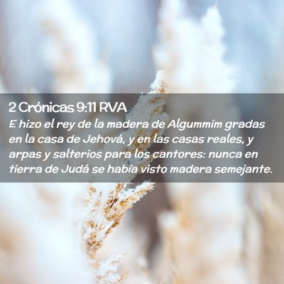Picture 02 - 2 Crónicas 9:11 RVA - E hizo el rey de la madera de Algummim gradas en - Bible Verse Picture