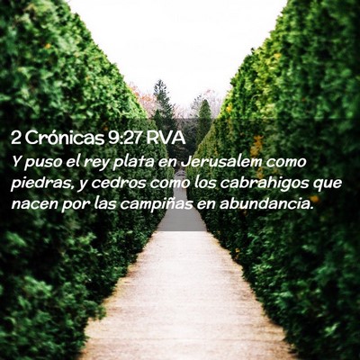 Picture 02 - 2 Crónicas 9:27 RVA - Y puso el rey plata en Jerusalem como piedras, y - Bible Verse Picture