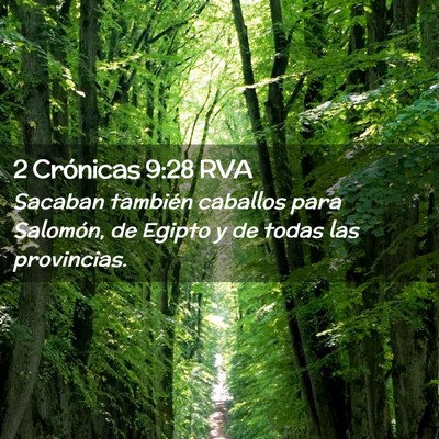 Picture 02 - 2 Crónicas 9:28 RVA - Sacaban también caballos para Salomón, de - Bible Verse Picture