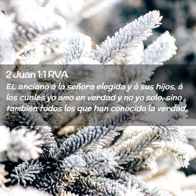 Picture 02 - 2 Juan 1:1 RVA - EL anciano á la señora elegida y á sus hijos, - Bible Verse Picture