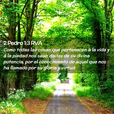 Picture 02 - 2 Pedro 1:3 RVA - Como todas las cosas que pertenecen á la vida y - Bible Verse Picture