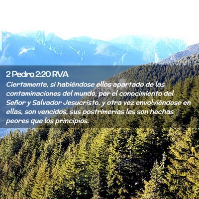 Picture 02 - 2 Pedro 2:20 RVA - Ciertamente, si habiéndose ellos apartado de las - Bible Verse Picture