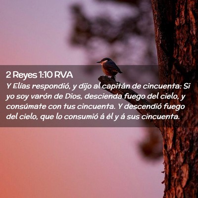 Picture 02 - 2 Reyes 1:10 RVA - Y Elías respondió, y dijo al capitán de - Bible Verse Picture