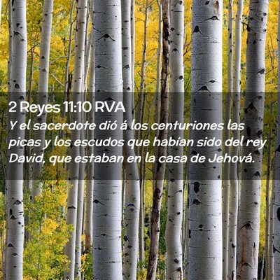 Picture 02 - 2 Reyes 11:10 RVA - Y el sacerdote dió á los centuriones las picas - Bible Verse Picture