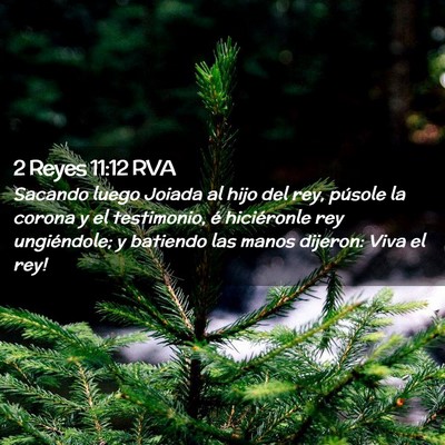 Picture 02 - 2 Reyes 11:12 RVA - Sacando luego Joiada al hijo del rey, púsole la - Bible Verse Picture