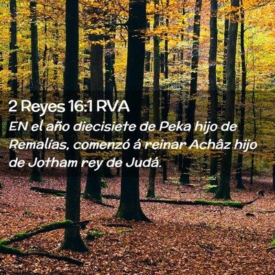 Picture 02 - 2 Reyes 16:1 RVA - EN el año diecisiete de Peka hijo de Remalías, - Bible Verse Picture