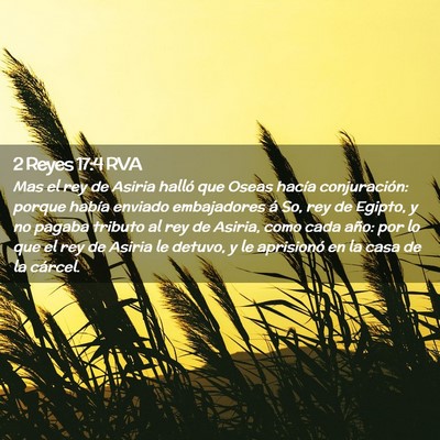 Picture 02 - 2 Reyes 17:4 RVA - Mas el rey de Asiria halló que Oseas hacía - Bible Verse Picture