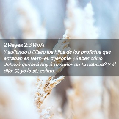 Picture 02 - 2 Reyes 2:3 RVA - Y saliendo á Eliseo los hijos de los profetas - Bible Verse Picture