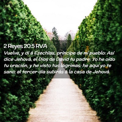 Picture 02 - 2 Reyes 20:5 RVA - Vuelve, y di á Ezechîas, príncipe de mi - Bible Verse Picture