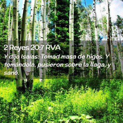 Picture 02 - 2 Reyes 20:7 RVA - Y dijo Isaías: Tomad masa de higos. Y - Bible Verse Picture