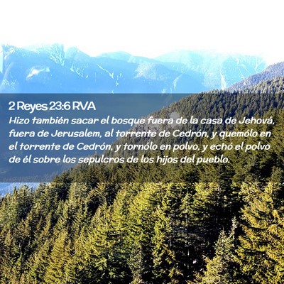 Picture 02 - 2 Reyes 23:6 RVA - Hizo también sacar el bosque fuera de la casa de - Bible Verse Picture
